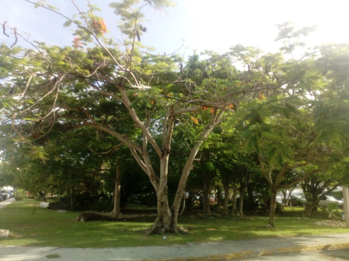 Cielito Lindo Bed & Breakfast Cancun Exterior photo